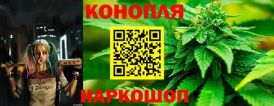 эйфоретик Шебекино