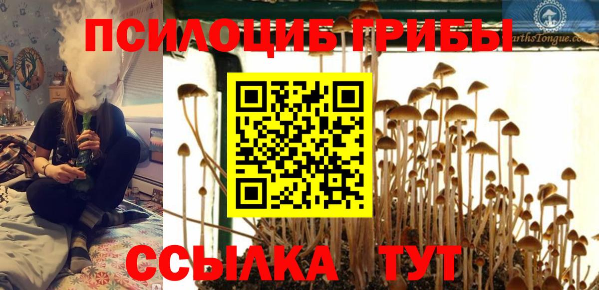 как найти   Псилоцибиновые грибы GOLDEN TEACHER  Псилоцибиновые грибы ЛСД  Вход с VPN  Благодарный 