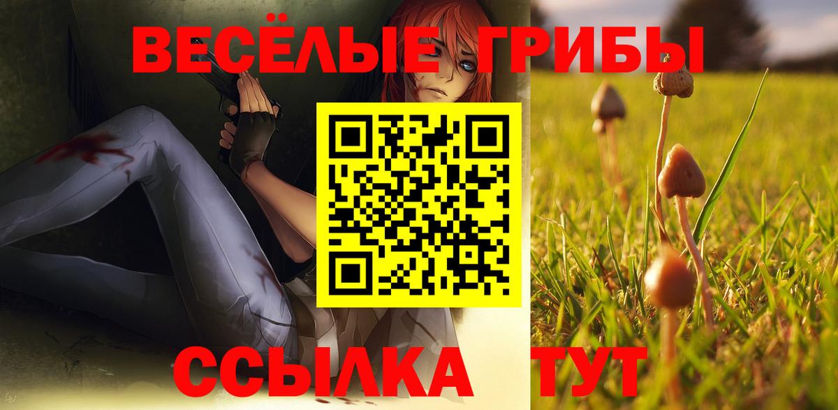 Галлюциногенные грибы GOLDEN TEACHER Благодарный
