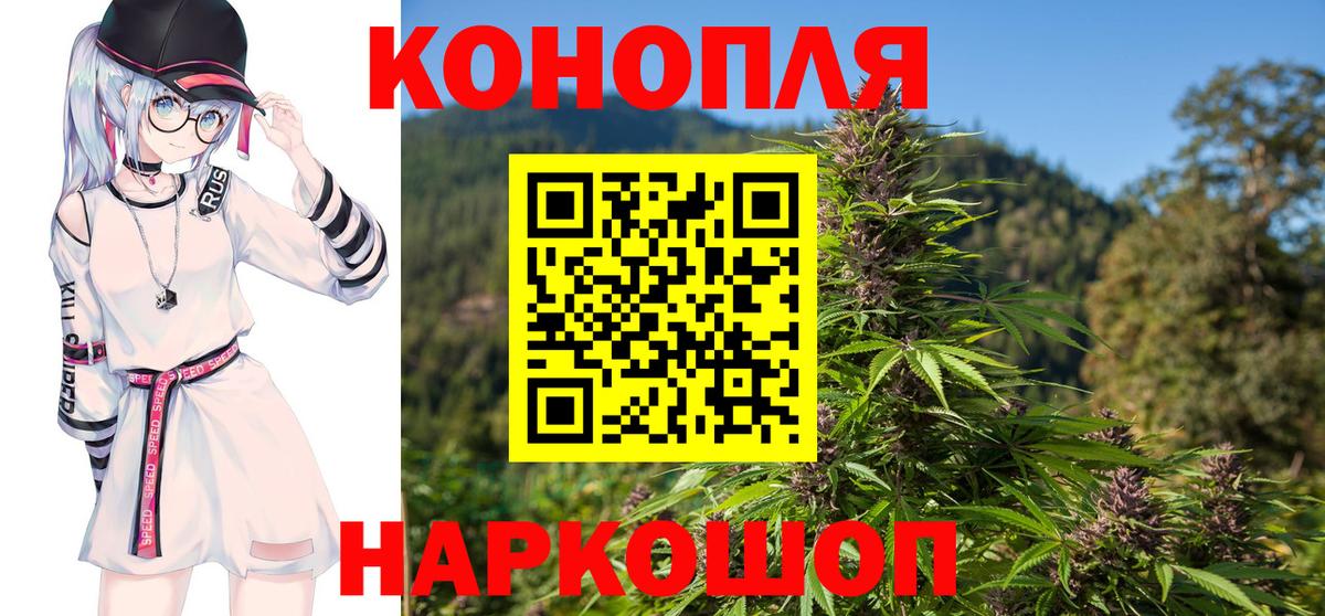 Бошки марихуана тримм  Вход с VPN  МАРИХУАНА марихуана  Шишки марихуана Bruce Banner  Благодарный 